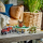 LEGO Jurassic World 76965 Dinomisje: odkrycie stegozaura - 1266189 - zdjęcie 9